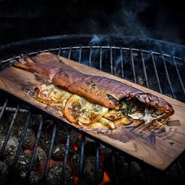 Forel_Rookplank_small